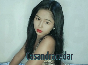 Casandracedar