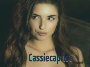 cassiecaprice Porn Fellow