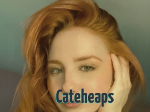 Cateheaps