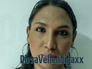 DiosaVellenbigaxx