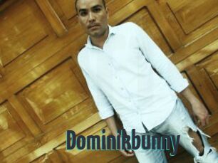 Dominikbunny