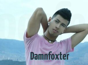 Damnfoxter