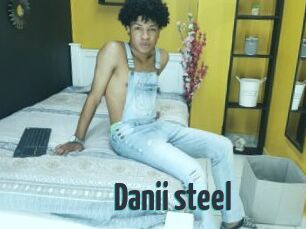 Danii_steel