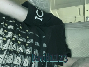 David1123