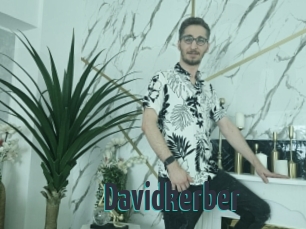 Davidkerber