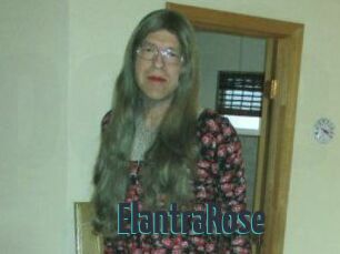 Elantra_Rose
