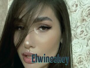 Elwineakey