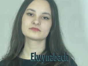 Elwynabach