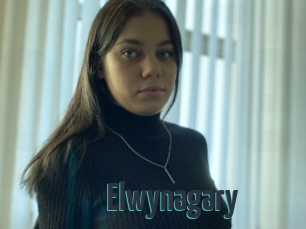 Elwynagary