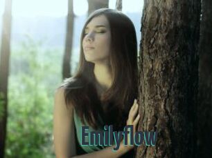 Emilyflow