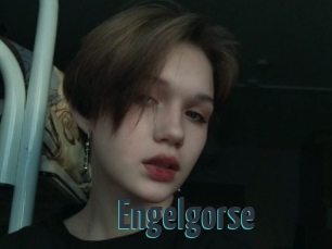 Engelgorse