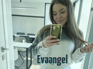 Evaangel