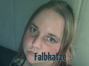 Falbkatze