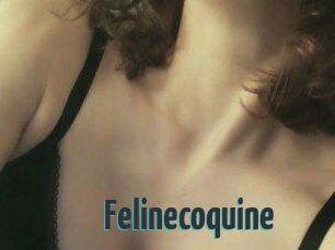 Felinecoquine