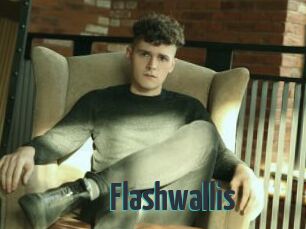 Flashwallis