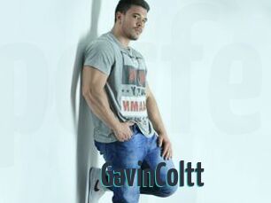 GavinColtt