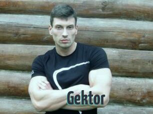 Gektor