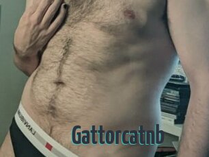 Gattorcatnb