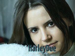 Harley_Due