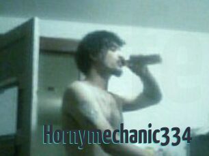 Hornymechanic334