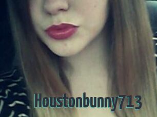 Houstonbunny713