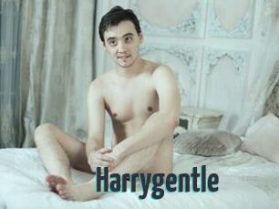 Harrygentle