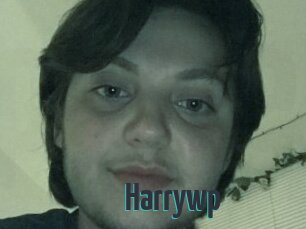 Harrywp