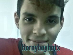 Hornyboyhotx