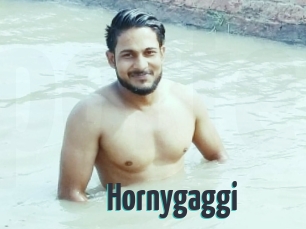 Hornygaggi