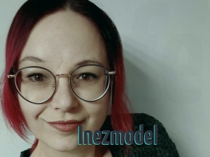 Inezmodel