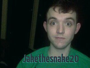 Jakethesnake20