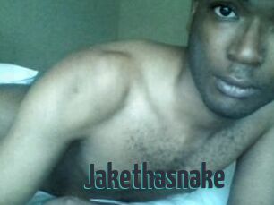Jake_tha_snake