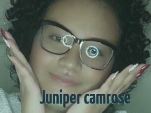 Juniper_camrose