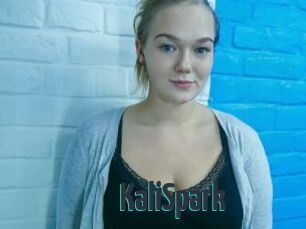 KaliSpark