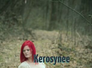 Kerosynee