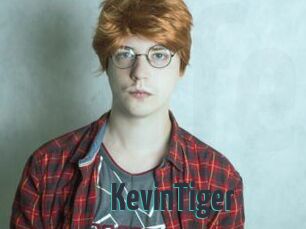 KevinTiger