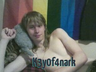 K3y0f4nark