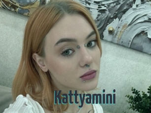 Kattyamini