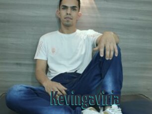 Kevingaviria