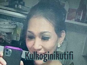 Kulkoginikutifi