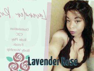 Lavender_Rose