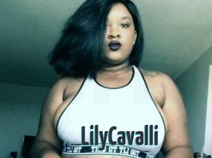 Lily_Cavalli