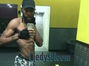 Lledys_Bloom