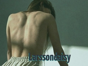 Larssondaisy