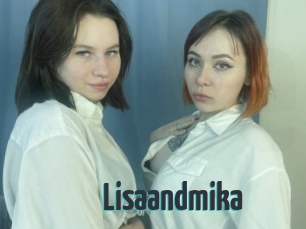 Lisaandmika