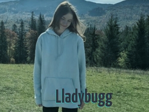 Lladybugg