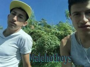 Malehotboys