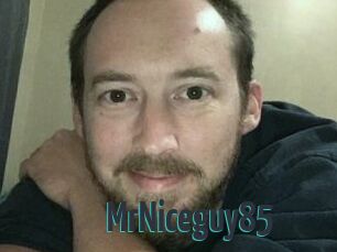 MrNiceguy85