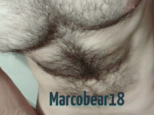 Marcobear18