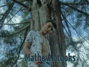 Mathew_brooks